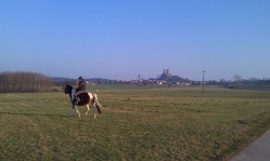 Ausreitgelände bei Münzenberg