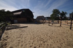 Der Blick auf eines der Paddocks Richtung Scheune Der Blick auf eines der Paddocks Richtung Scheune