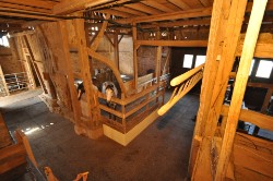 Max und Mary die aus ihrem Futterraum Richtung Stallgasse schauen